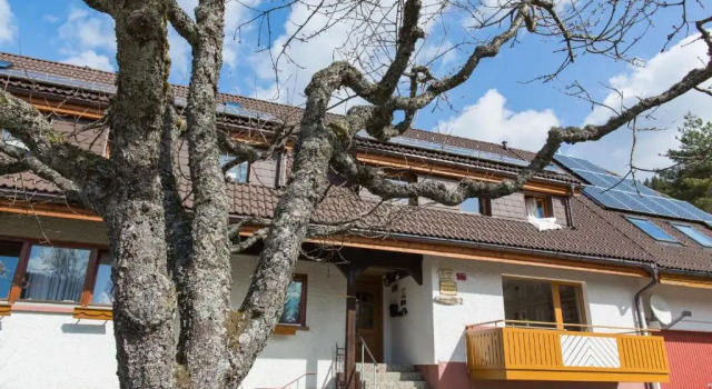 Апартаменты Kuckucksnester Menzenschwand (Vorderdorf)
