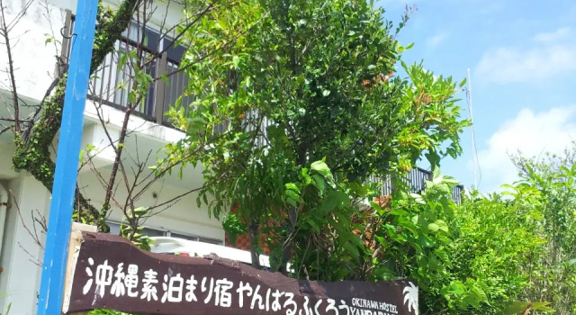 Номер Standard Okinawa Hostel Yanbaru Fukuro