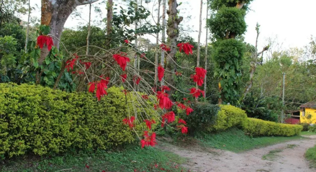 Guddadamane Homestay, Rezervovat Hotel Hotely v Bangalore s parkováním, Parkování