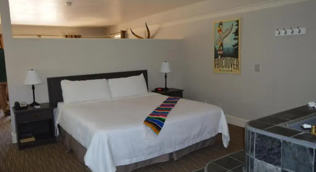 Люкс Palm Canyon Hotel and RV Resort