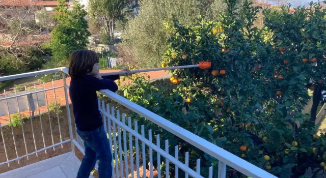 Коттедж с 3 комнатами La Terrazza Family Holidays - Sorrento Coast