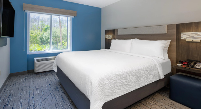 Holiday Inn Express Hotel & Suites New Tampa I-75 by IHG