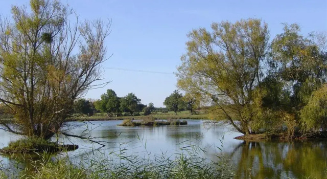 Номер Standard с балконом и с красивым видом из окна Roulotte des Elfes - Domaine du Der, au milieu de nulle part