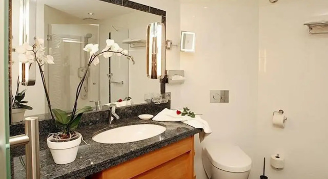Номер Executive Kur- und Wellness Hotel Mönchgut