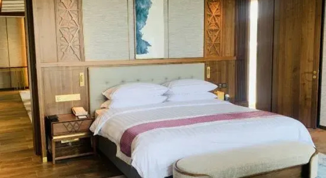 Deluxe Suite BFA Hotel