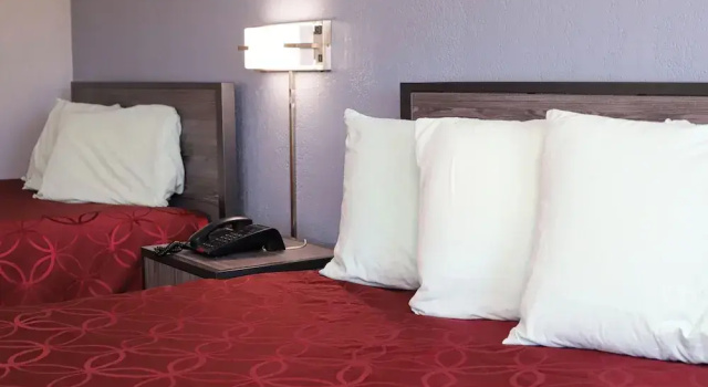 Номер Comfort Express Inn