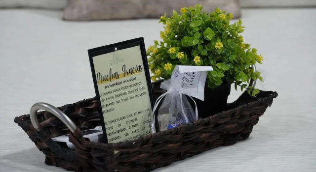 Четырёхместная студия Deluxe с видом на сад Villa Las Flores