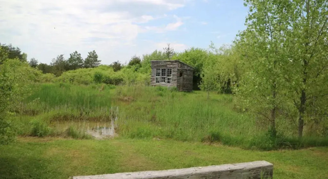 Двухместный люкс Standard Owls Nest Suites