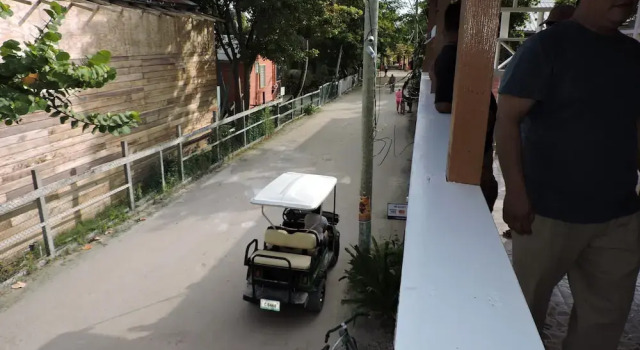 Wild Panther's Guest House & Hostel, Buchen Sie Hostel Caye Caulker Inseln von Belize
