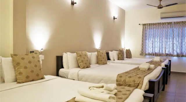 Olive de Villa - A Wandertrails Stay