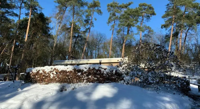 Коттедж Het Fazantenbosje