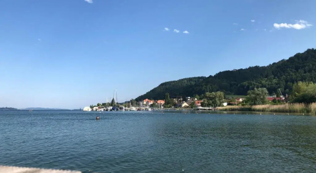 Апартаменты Ferienwohnung Haid Bodensee, Umgebung Bodman-Ludwigshafen, Radolfzell, Überlingen, Luxus FeWo Haid