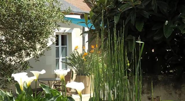 Suite Luzilloise