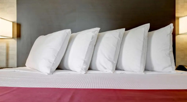 Номер Standard Best Western Little River Inn