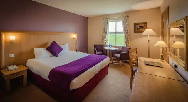 Одноместный номер Classic Roganstown Hotel & Country Club
