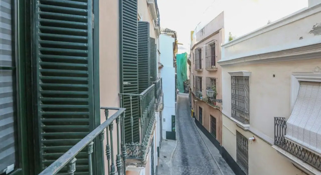 Deluxe apartment los balcones