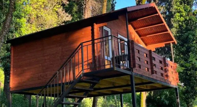 Номер Standard Cypress House