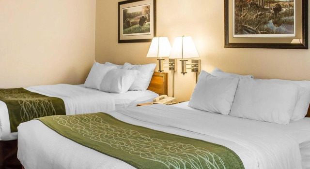 Четырёхместный номер Standard City Express by Marriott Petoskey Harbor Springs