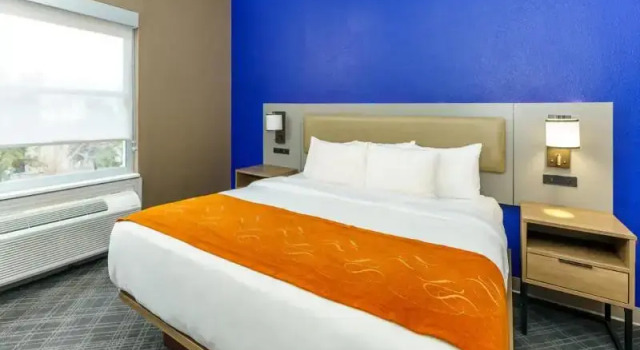 Люкс Standard Comfort Suites University Drive