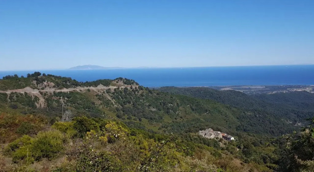 Номер Standard English Club in Corsica B&B
