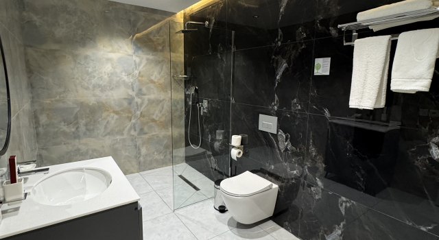 Номер Standard Отель Meridian Plaza by Reikartz