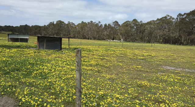 Kerriley Park Farmstay, Réserver Hôtel Yallingup 
