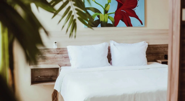 Двухместный полулюкс Barrudada Tropical Hotel