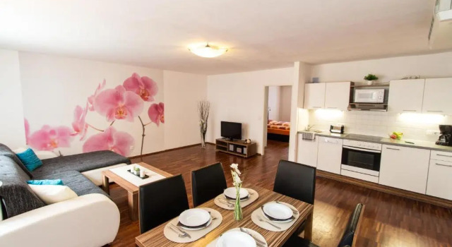 Апартаменты Deluxe с 2 комнатами Royal Living Apartments Vienna