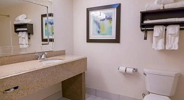 Двухместный люкс c 1 комнатой Holiday Inn & Suites Syracuse Airport - Liverpool by IHG