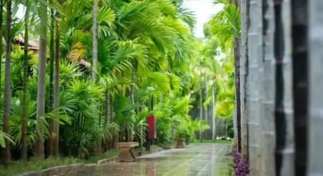 Номер Standard Phanumas LongStay Resort