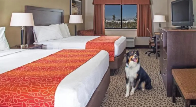 Номер Standard Gray Wolf Inn & Suites