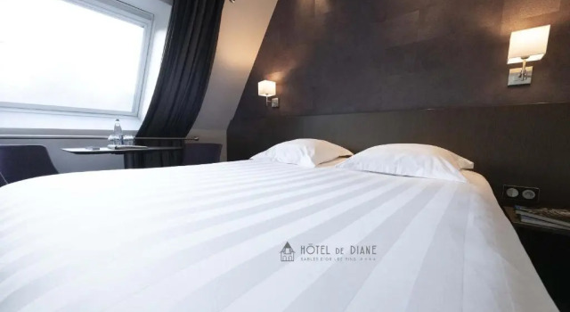 Одноместный номер Standard Hotel De Diane
