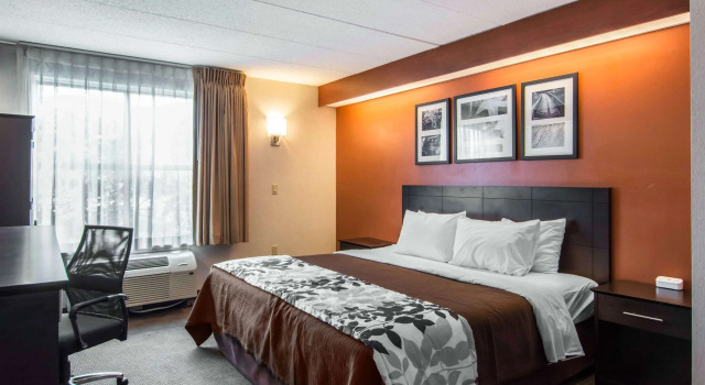 Standard- dobbelt værelse Sleep Inn Lake Wright