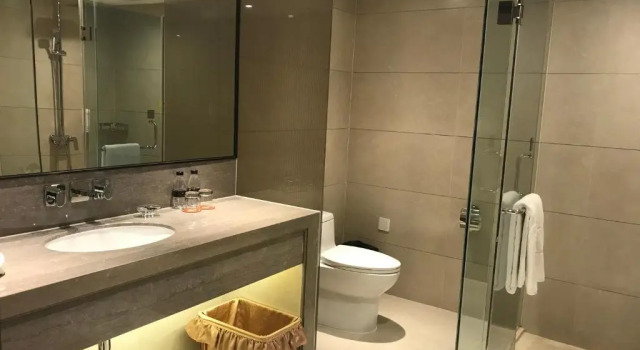 Двухместный номер Executive Zhongshan International Hotel