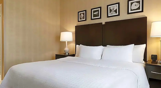 Шестиместный люкс Homewood Suites by Hilton Newtown - Langhorne, PA