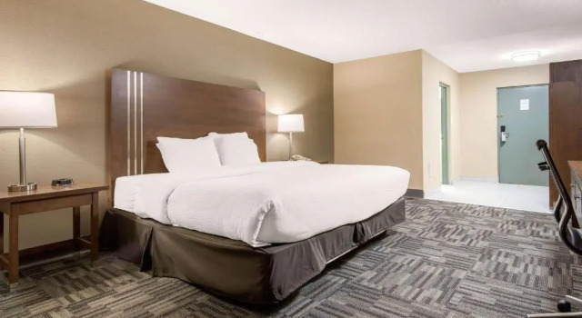 Номер Standard Quality Inn & Conference Centre