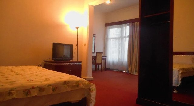 Standard dublă cameră cu vedere Zenith Hotel