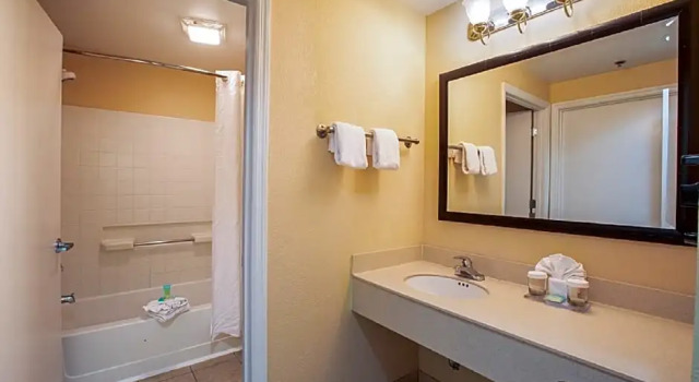 Номер Executive staySky Suites I-Drive Orlando Near Universal