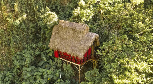 Коттедж Luxury Tree House Village - Waterfall