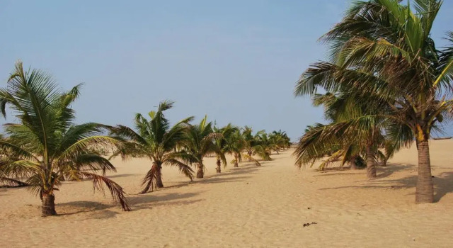 A&Y Wild Camp Ghana