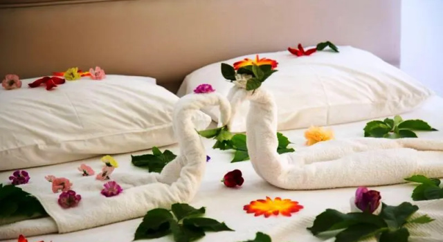 Номер Standard Sea Bird Hotel