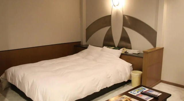 Двухместный номер Standard Color Hotel