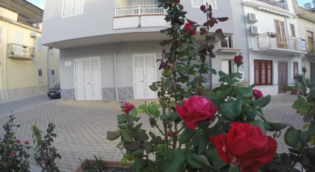 Apartment La Conchiglia