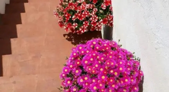 Amecasa Augusta, Book Hotel Hotels in Sicily with a Pool, Swimming Pool