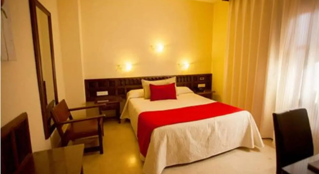 Одноместный номер Basic Hotel Sercotel Alfonso VI
