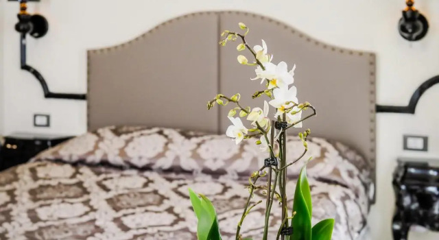 Номер Deluxe LOpera Rooms & Suite