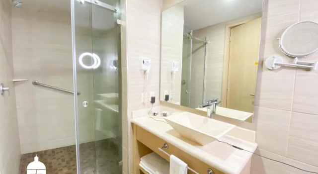 Двухместный номер Executive Plaza Poblana