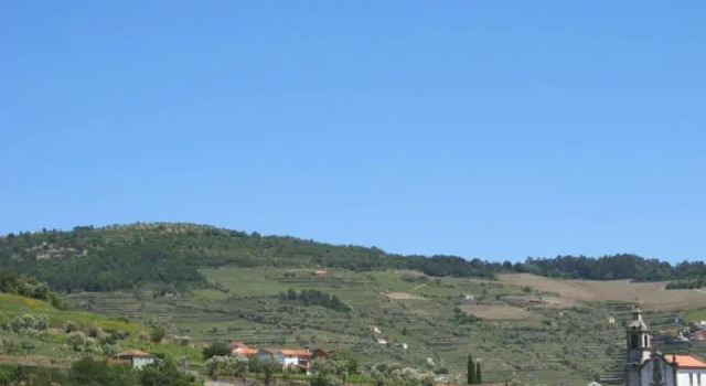 Двухместный номер Standard Douro Scala