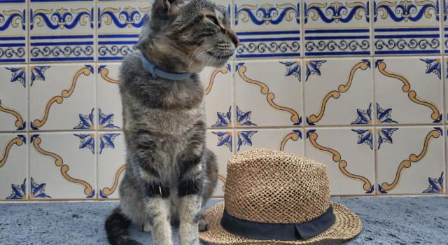 Коттедж Quinta Terezinha
