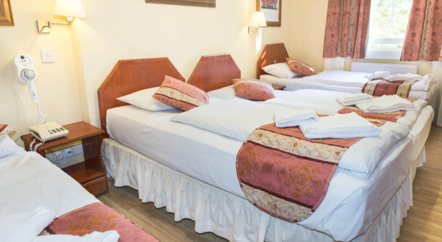 Четырёхместный номер Dolphin Hotel